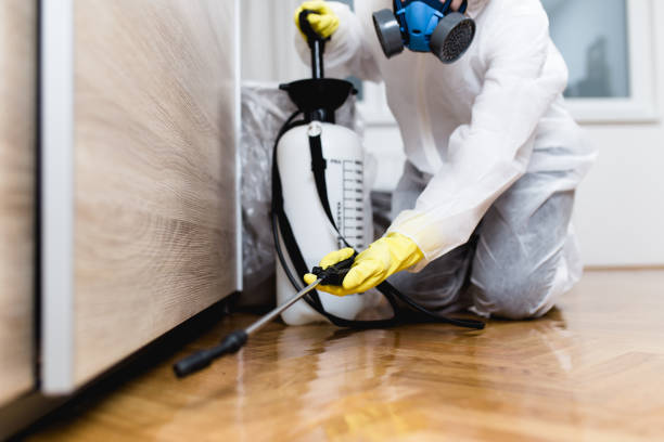 Best Flea Control Services  in Caon City, CO