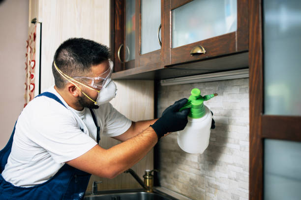 Best Residential Pest Control  in Caon City, CO