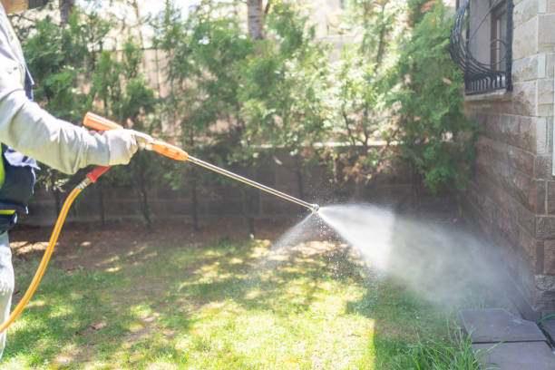 Best Pest Control for Homes  in Caon City, CO