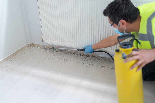Best Cockroach Control Services  in Caon City, CO