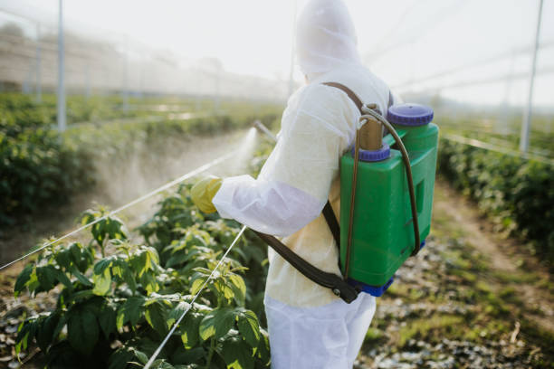 Reliable Caon City, CO Pest Control Solutions